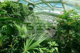 Турция - Коня - Тропически музей на пеперудите