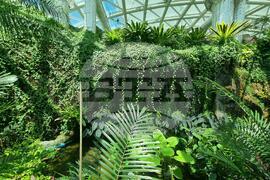 Турция - Коня - Тропически музей на пеперудите