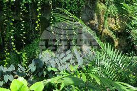 Турция - Коня - Тропически музей на пеперудите