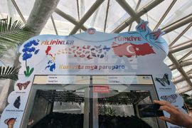 Турция - Коня - Тропически музей на пеперудите