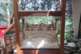 Турция - Коня - Тропически музей на пеперудите