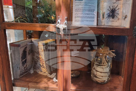 Турция - Коня - Тропически музей на пеперудите