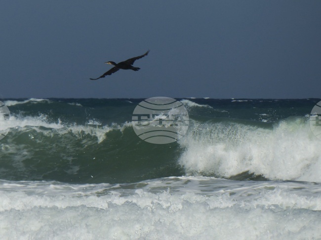 Fishing Vessel with Three-Member Crew Goes Missing near Cape Maslen Nos