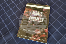 Село Драгушиново - Петър Домишляров - книга