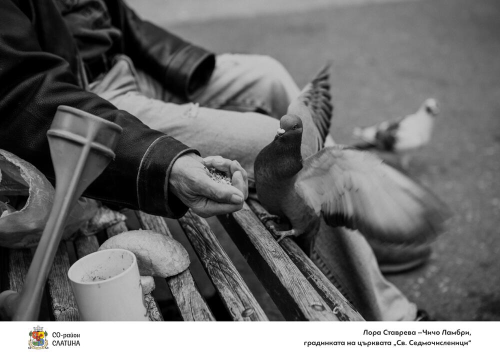 Резултати и събития във връзка с великденската кампания на район „Слатина“ за възрастните хора