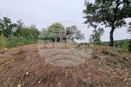 Село Текето - тракийска гробница - проучване