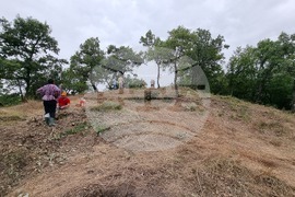 Село Текето - тракийска гробница - проучване