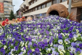 Ямбол - пролет