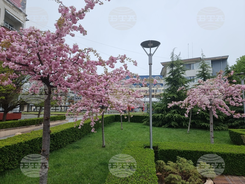 Ямбол - пролет