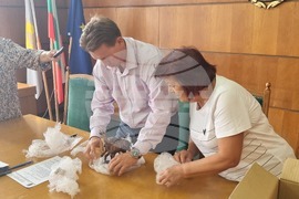 Плевен - конкурс - скулптурна композиция