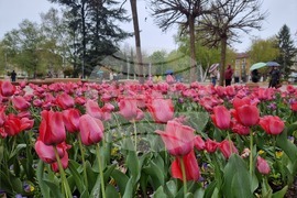 Ямбол - пролет