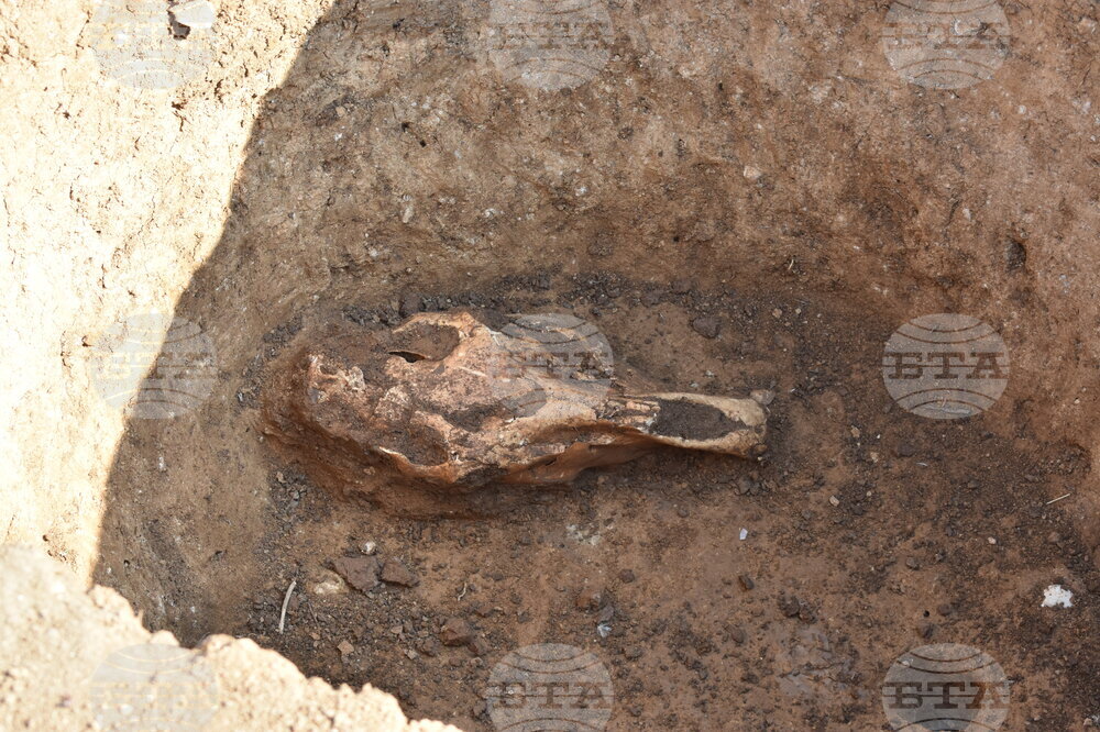 Горна Оряховица - археология