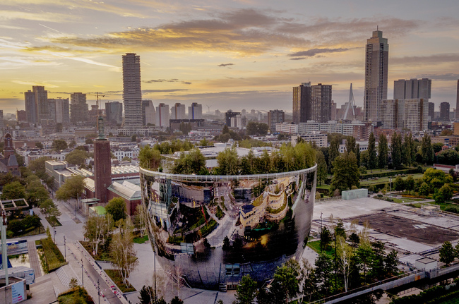 Нидерландската икономика расте по-бавно: какви са причините