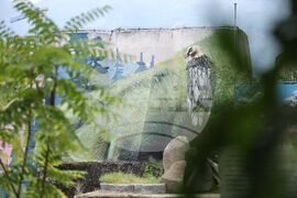 Зелени Балкани - Зоологическа градина - София - графити