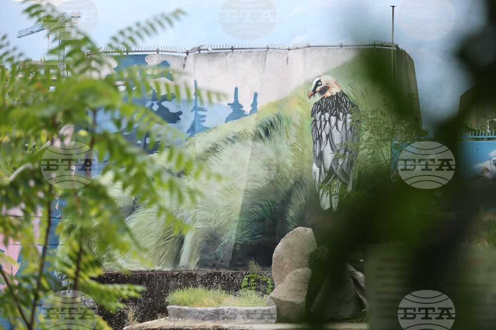 Зелени Балкани - Зоологическа градина - София - графити