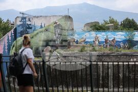 Зелени Балкани - Зоологическа градина - София - графити