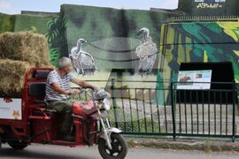 Зелени Балкани - Зоологическа градина - София - графити