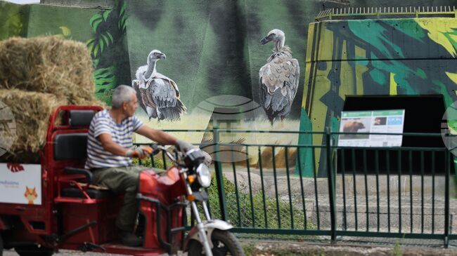 От днес Зоологическата градина в София преминава към лятно работно време - от 9:30 до 19:00 часа 