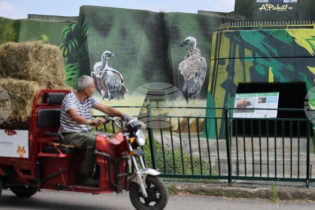 Зелени Балкани - Зоологическа градина - София - графити