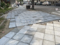 Снимка: Община Видин