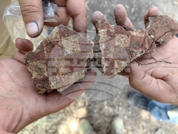 Снимка: Столична община