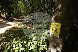 Витоша - Алексей Петров - убийство