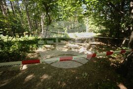 Витоша - Алексей Петров - убийство