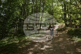 Витоша - Алексей Петров - убийство