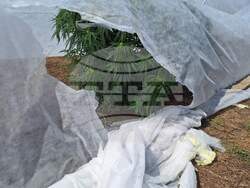 Снимка: Апелативна прокуратура – Бургас 