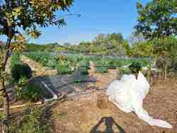 Снимка: Апелативна прокуратура – Бургас 