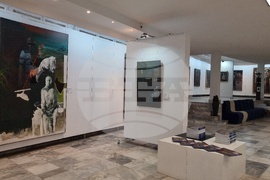 Ловеч - Теофан Сокеров - изложба