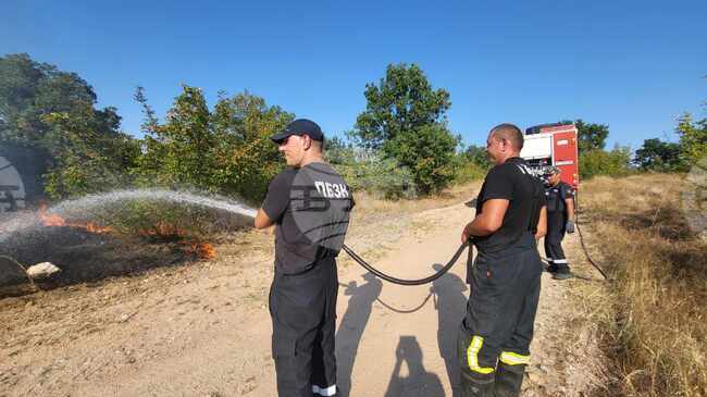 Село Шишманово - пожар
