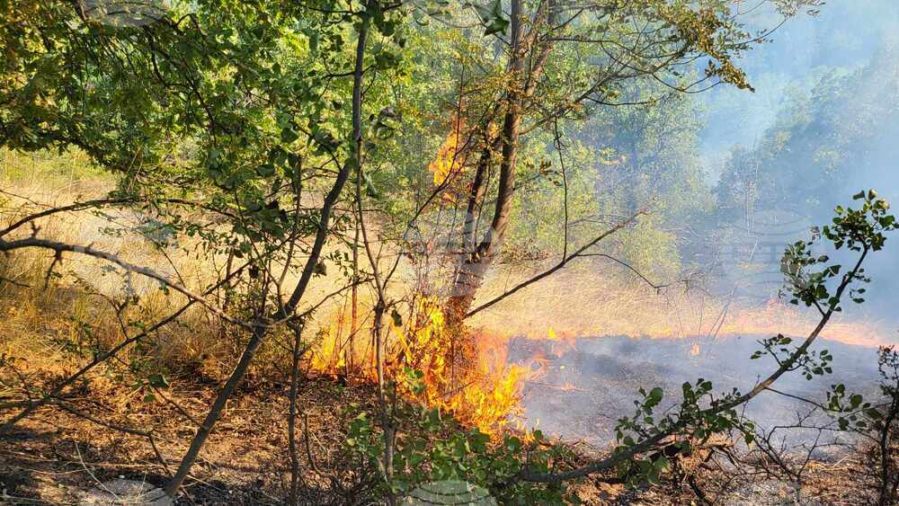 Село Шишманово - пожар