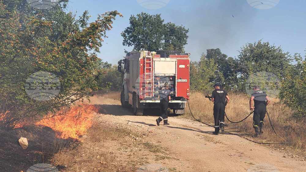 Сакар планина - пожар