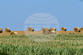 Село Малък Поровец - слама - бали