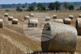 Село Малък Поровец - слама - бали