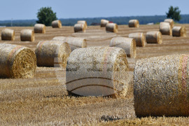 Село Малък Поровец - слама - бали
