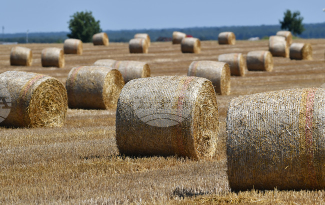 Село Малък Поровец - слама - бали