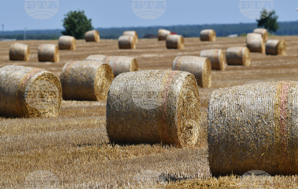 Село Малък Поровец - слама - бали