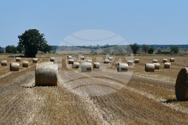 Село Малък Поровец - слама - бали