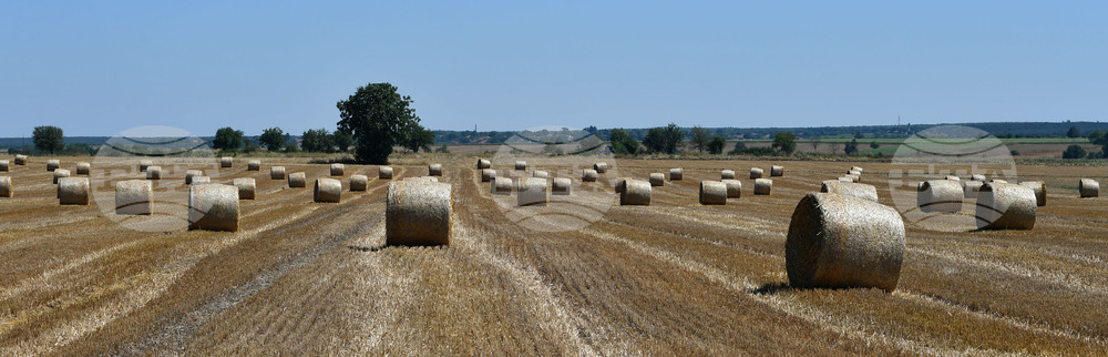 Село Малък Поровец - слама - бали