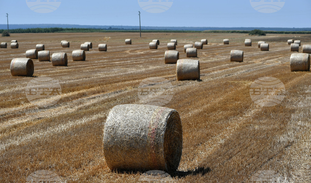Село Малък Поровец - слама - бали