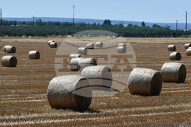 Село Малък Поровец - слама - бали
