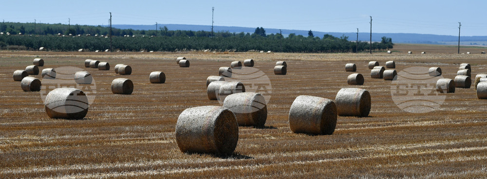 Село Малък Поровец - слама - бали