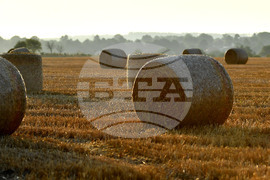 Село Малък Поровец - слама - бали