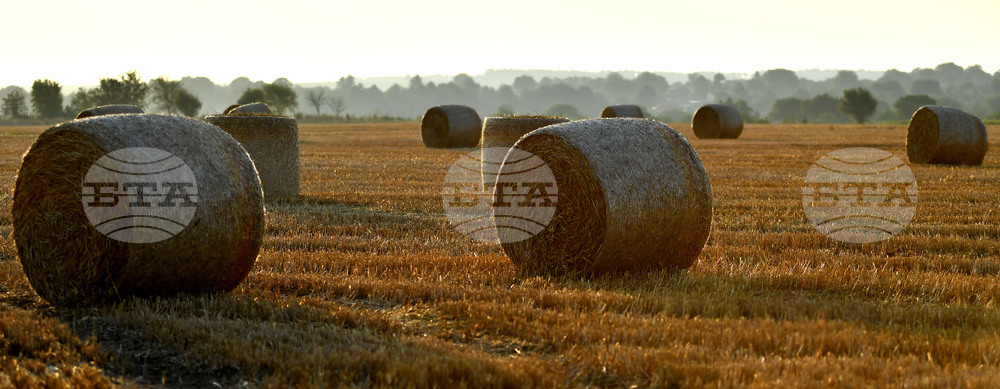 Село Малък Поровец - слама - бали