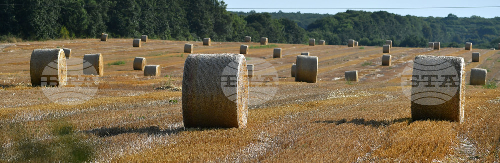 Село Малък Поровец - слама - бали