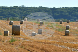 Село Малък Поровец - слама - бали