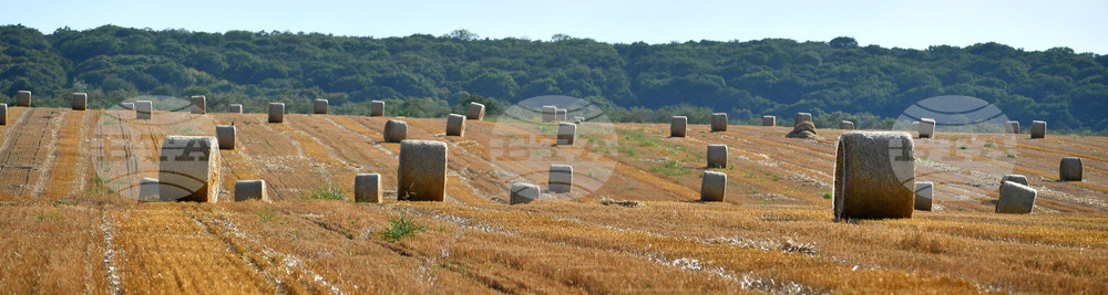 Село Малък Поровец - слама - бали