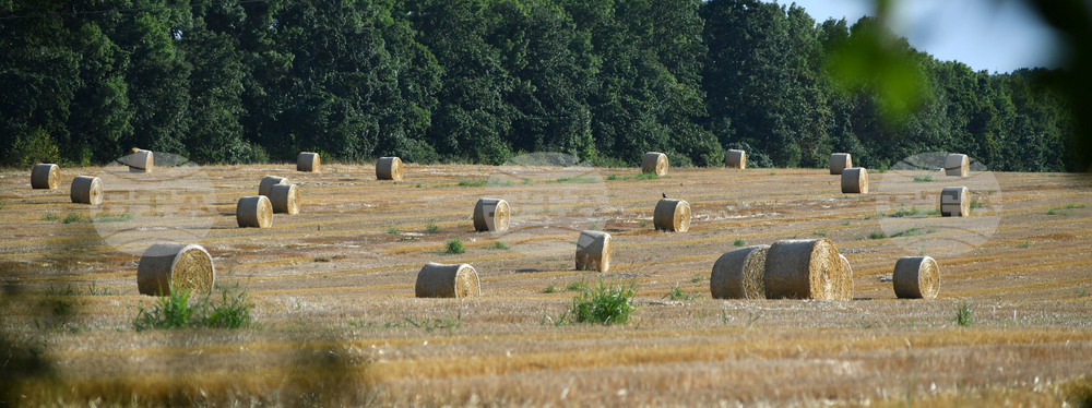 Село Малък Поровец - слама - бали